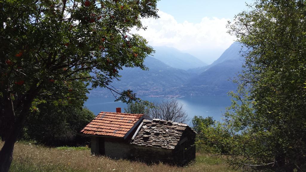 Lake Como View Apartement Allegro Acquaseria Rum bild